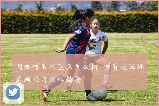 网络博弈社区深度剖析_博弈论坛玩家避坑与攻略精要