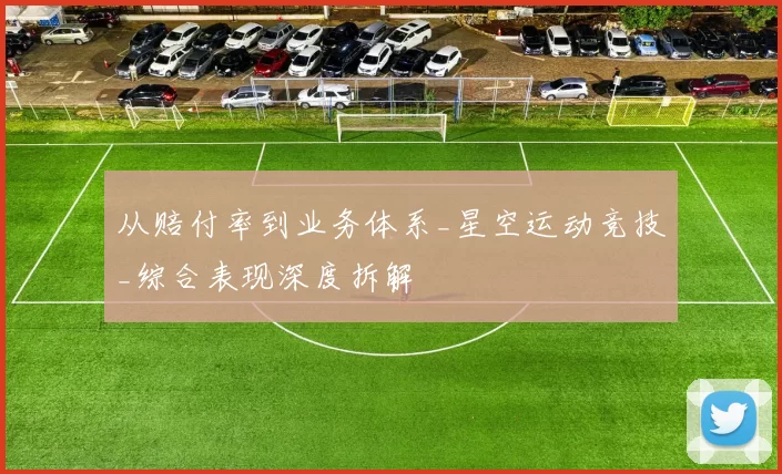从赔付率到业务体系_星空运动竞技_综合表现深度拆解