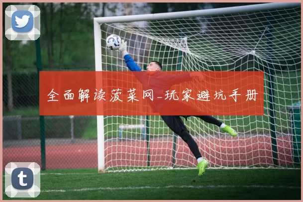 全面解读菠菜网_玩家避坑手册