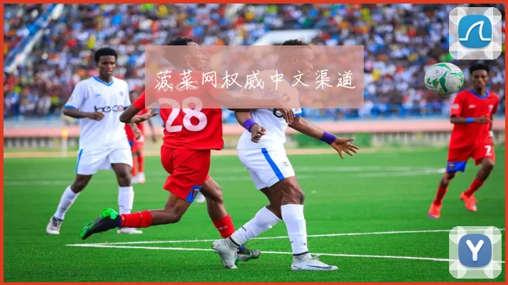 菠菜网权威中文渠道