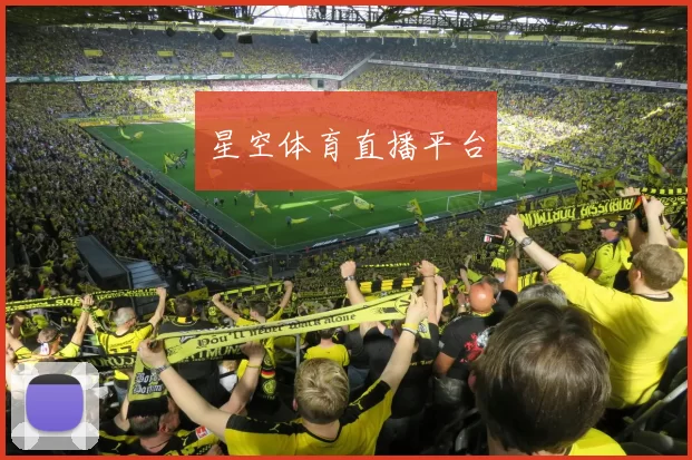 星空体育直播平台