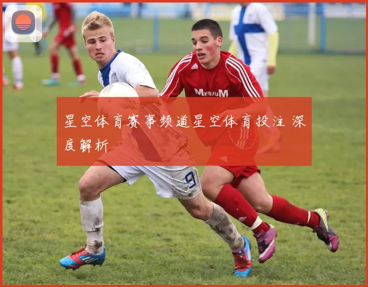 星空体育赛事频道星空体育投注 深度解析