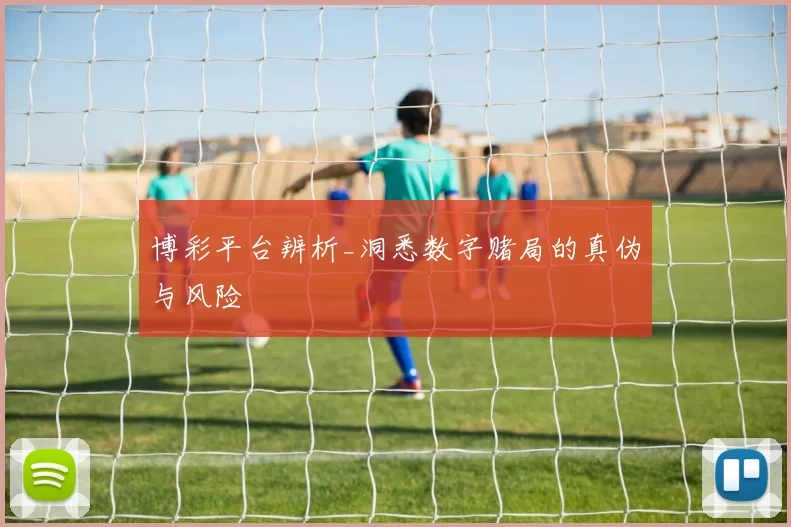 博彩平台辨析_洞悉数字赌局的真伪与风险