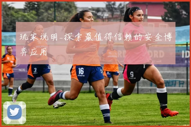 玩家说明_探索最值得信赖的安全博弈应用