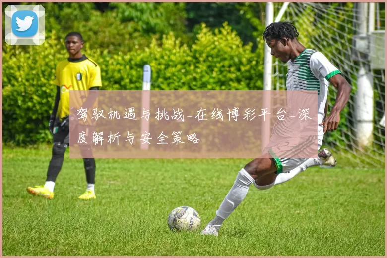 驾驭机遇与挑战_在线博彩平台_深度解析与安全策略