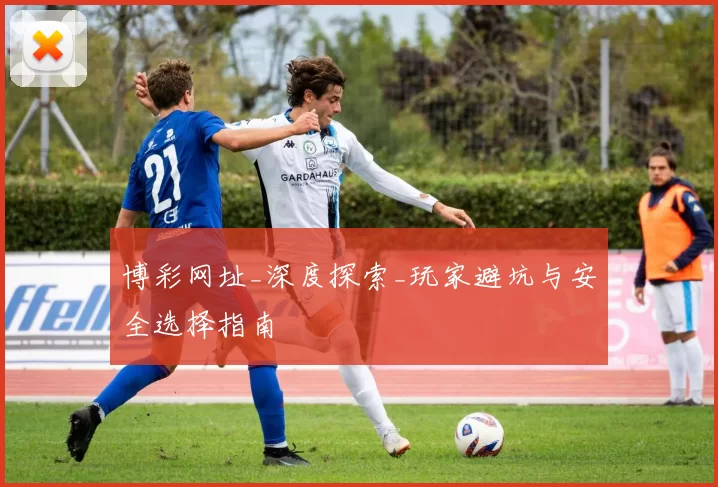 博彩网址_深度探索_玩家避坑与安全选择指南