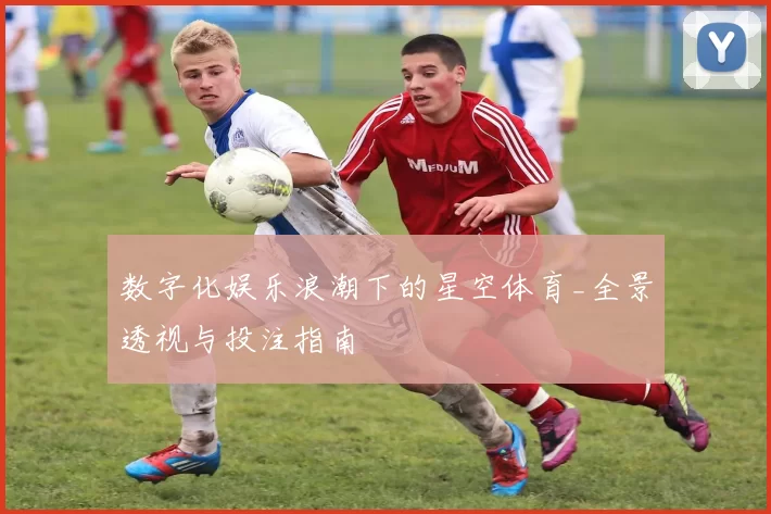 数字化娱乐浪潮下的星空体育_全景透视与投注指南