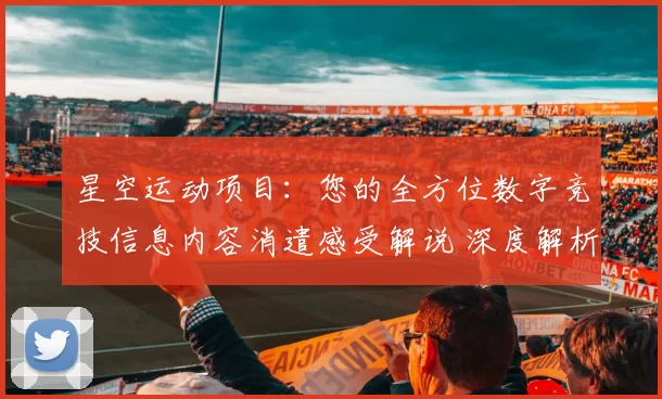 星空运动项目：您的全方位数字竞技信息内容消遣感受解说 深度解析