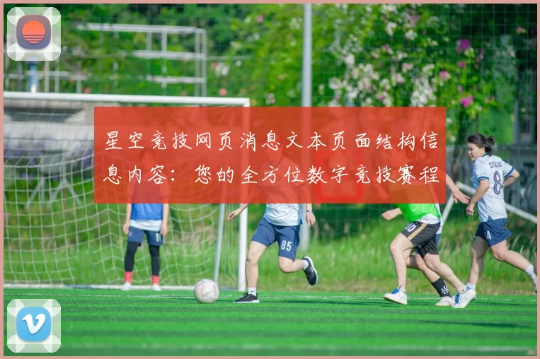 星空竞技网页消息文本页面结构信息内容：您的全方位数字竞技赛程伙伴_3