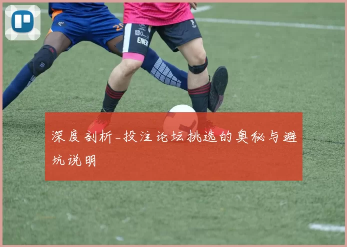 深度剖析_投注论坛挑选的奥秘与避坑说明