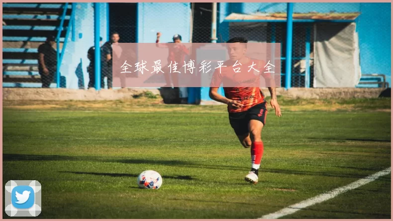 全球最佳博彩平台大全