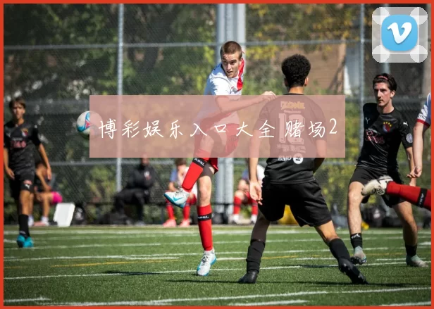 博彩娱乐入口大全 赌场2