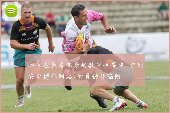 如何在鱼龙混杂的数字世界中_识别安全博彩网站_的真伪与陷阱
