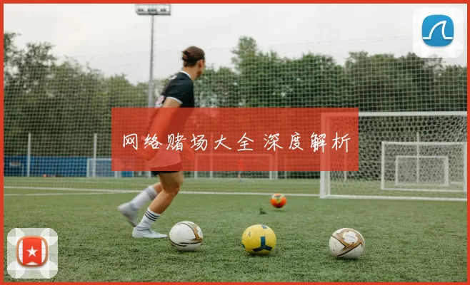 网络赌场大全 深度解析