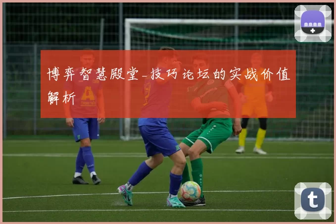 博弈智慧殿堂_技巧论坛的实战价值解析