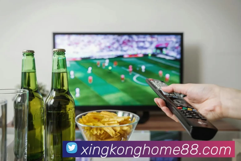 xingkong平台生态图